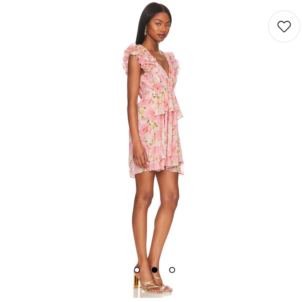 NWT MISA Los Angeles Lily Dress in Blushing Flora - Picture 2 of 9